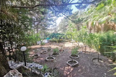 4 chambres House à Moniatis, Cyprus No. 63163 9