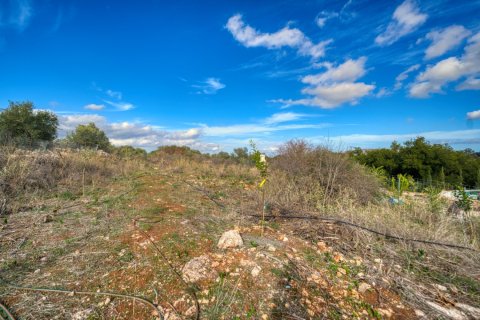 2 chambres House à Chania, Greece No. 81106 15