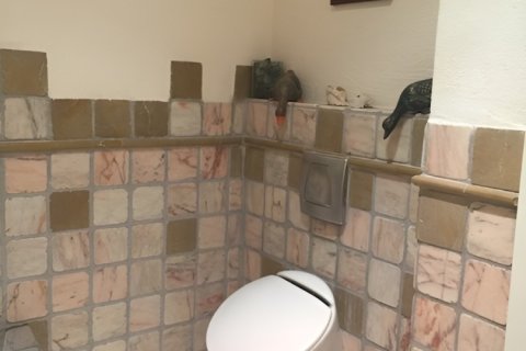 Вилла с 5 спальнями в My Loc, Вьетнам №85639 18