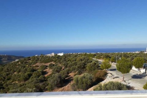 3 dormitorios Villa en Kouklia, Cyprus No. 84384 6