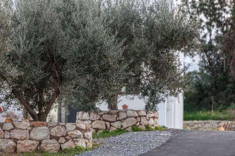 Вилла с 12 спальнями в Ретимнон, Греция №104417 27