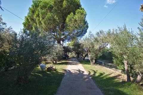 3 bedrooms House in Chalkidiki, Greece No. 58474 2