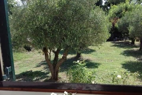 3 bedrooms House in Chalkidiki, Greece No. 58474 22