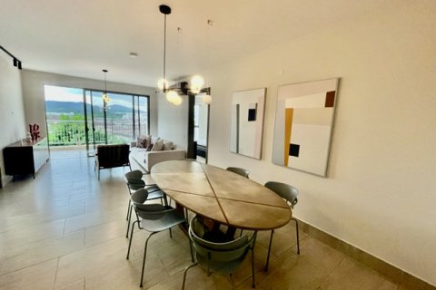 2 bedrooms Apartment in Veracruz, Panama No. 109766 12