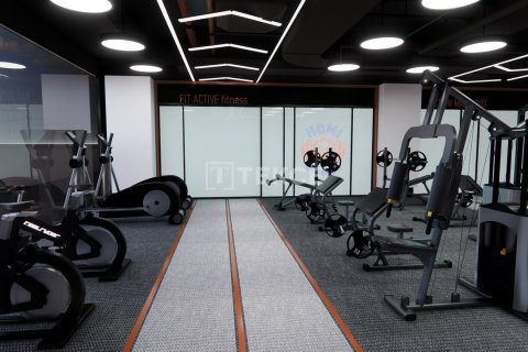 3 chambres Penthouse à Chau Lang, Vietnam No. 19699 11