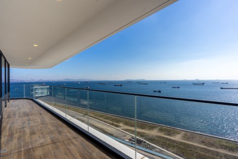 Квартира с 5 спальнями в Бави, Вьетнам №15091 4