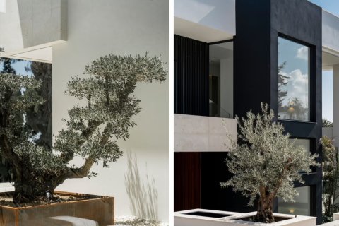 Вилла с 5 спальнями в Tan Xuan, Вьетнам №83877 10