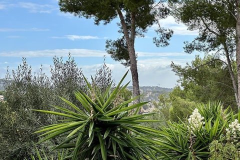 400m² Land in Palmanova, Spain No. 126775