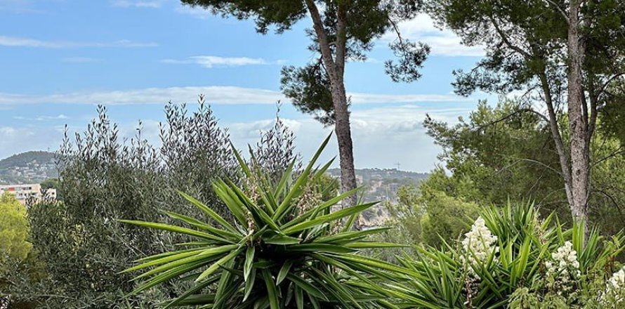 400m² Land in Palmanova, Spain No. 126775