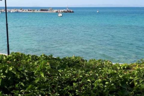 11 rooms Commercial property in Agistri, Greece No. 54385 10