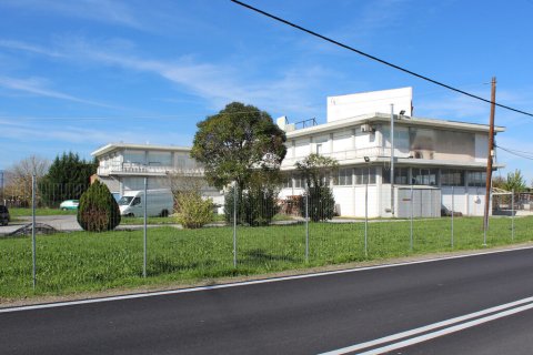 1600m² Commercial property in Katerini, Greece No. 117211 1