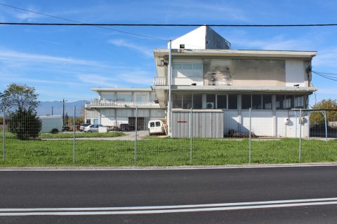 1600m² Commercial property in Katerini, Greece No. 117211 2