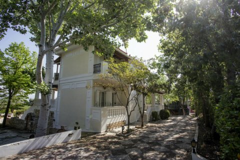 Дом с 3 спальнями в Эвбея, Греция №109039 29