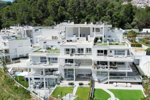 3 bedrooms Properties in Cat Trinh, Vietnam No. 92317 14