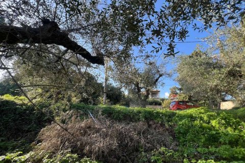 Land in Zakynthos, Greece No. 73020 8