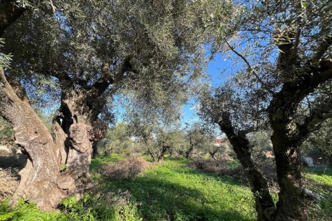 Land in Zakynthos, Greece No. 73020 7