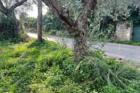 Land in Zakynthos, Greece No. 73020 2