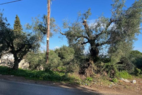 Land in Zakynthos, Greece No. 73020 4