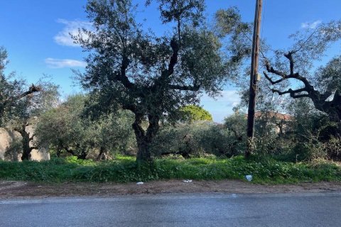 Land in Zakynthos, Greece No. 73020 1