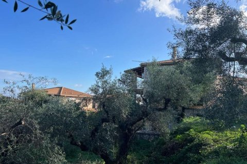 Land in Zakynthos, Greece No. 73020 3