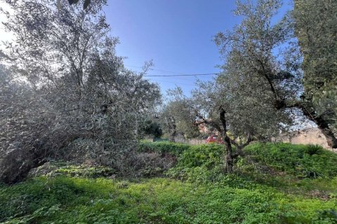 Land in Zakynthos, Greece No. 73020 5