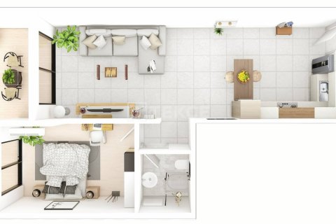 4 bedrooms Penthouse in Vinh Hoa, Vietnam No. 16519 6