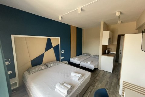 Отель, гостиница с 16 комнатами в Тасос, Греция №107447 9