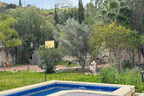 Дом с 4 спальнями в Акрунта, Кипр №79000 12