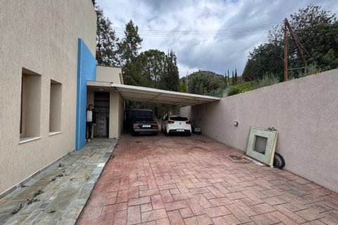 Дом с 4 спальнями в Акрунта, Кипр №79000 11