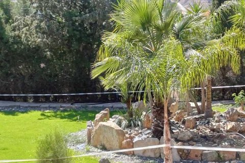 Дом с 4 спальнями в Акрунта, Кипр №79000 9