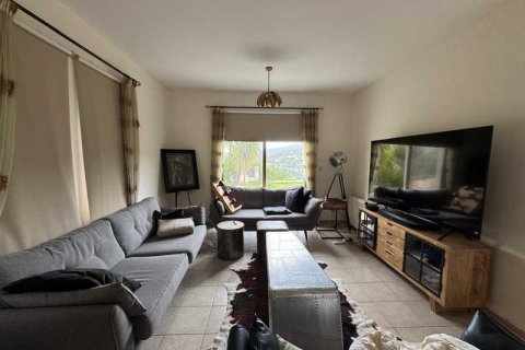 Дом с 4 спальнями в Акрунта, Кипр №79000 13