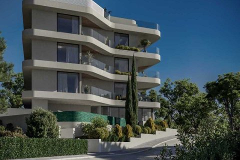 Пентхаус с 3 спальнями в Агиос Афанасиос, Кипр №32700 4