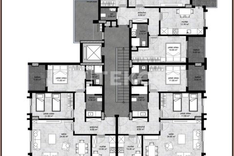 Квартира с 2 спальнями в Chau Lang, Вьетнам №75789 10