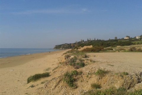 Land in Elis, Greece No. 28141 6