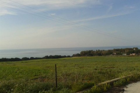 Land in Elis, Greece No. 28141 13