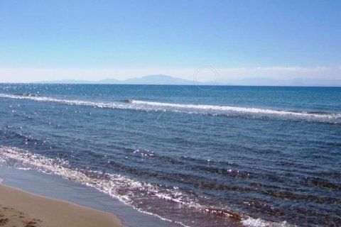 Land in Elis, Greece No. 28141 14