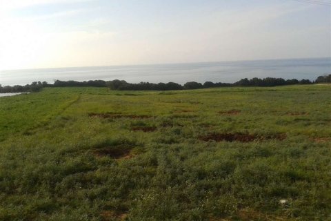 Land in Elis, Greece No. 28141 12