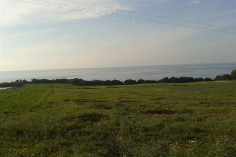 Land in Elis, Greece No. 28141 2