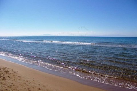 Land in Elis, Greece No. 28141 15