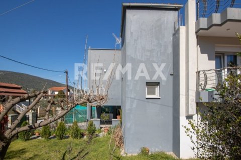 3 bedrooms Maisonette in Volos, Greece No. 104640 9