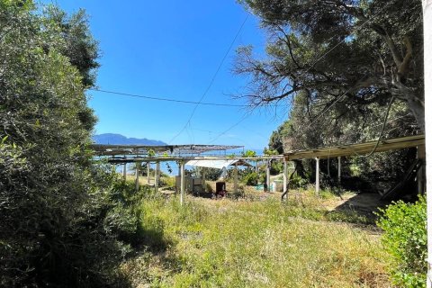 400m² Building in Corfu, Greece No. 56532 29