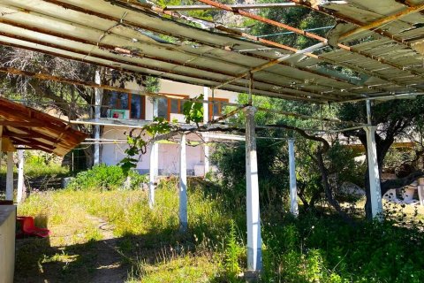 400m² Building in Corfu, Greece No. 56532 14