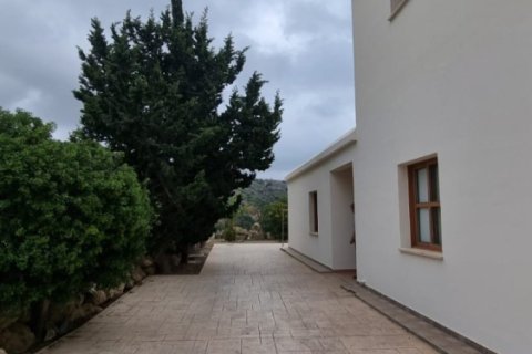 3 bedrooms House in Pegeia, Cyprus No. 37267 14