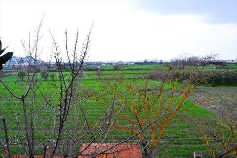 230m² Hotel in Chalkidiki, Greece No. 59803 7