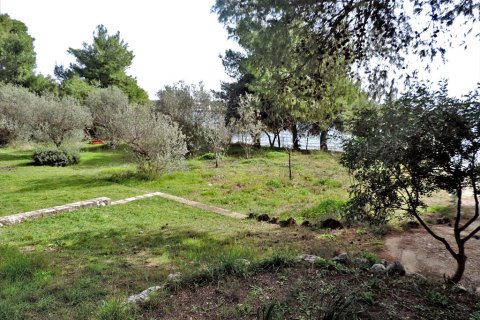 3 bedrooms Land in Euboea, Greece No. 59747 15