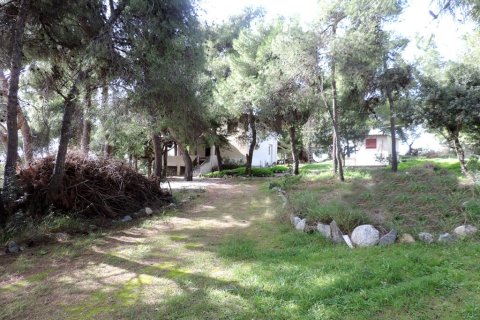 3 bedrooms Land in Euboea, Greece No. 59747 4