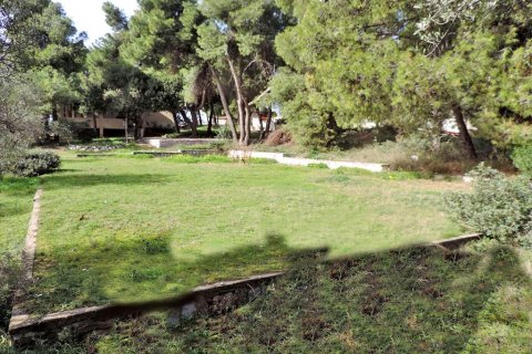 3 bedrooms Land in Euboea, Greece No. 59747 12