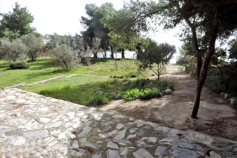 3 bedrooms Land in Euboea, Greece No. 59747 8