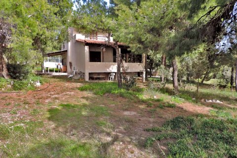 3 bedrooms Land in Euboea, Greece No. 59747 5