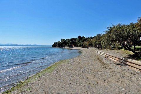 3 bedrooms Land in Euboea, Greece No. 59747 19